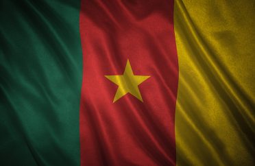 Flag of the Cameroon