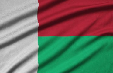 Madagascar flag is depicted on a sports cloth fabric with many folds. Sport team waving banner